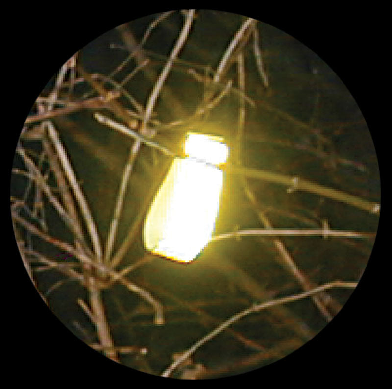 FireTacks® Combo Kit-FireTacks-FireTacks®